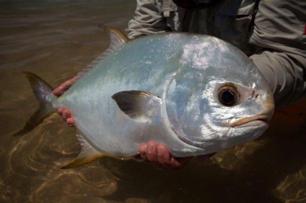 The Gorge features a timeless rugged beauty. This is special country for all native sportfishermen.